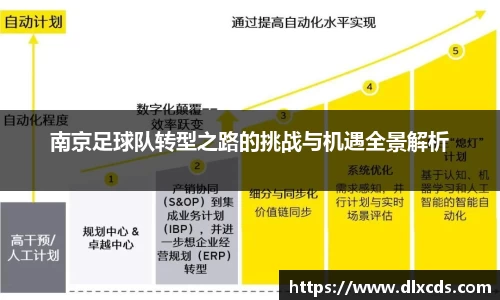 南京足球队转型之路的挑战与机遇全景解析